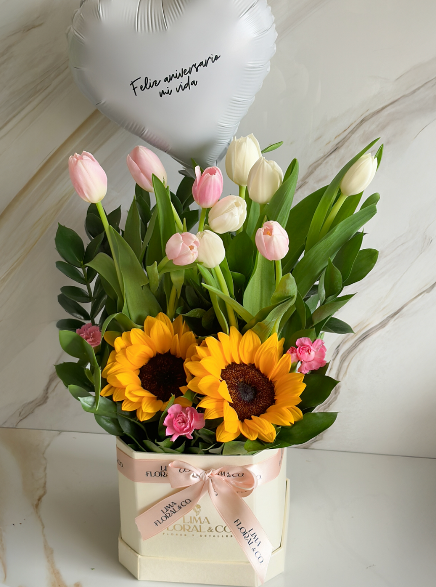 Box Alegra: Girasoles y 10 Tulipanes
