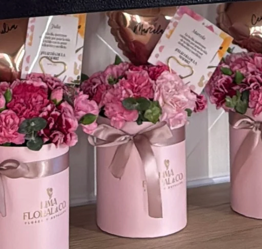 Box mini claveles -