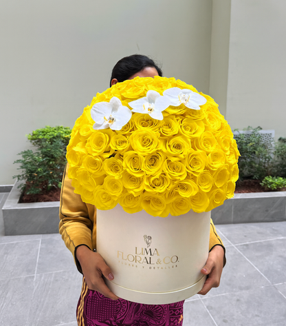 The Luxury Box: Amarillo - Rosas Amarillas - Extra Grande