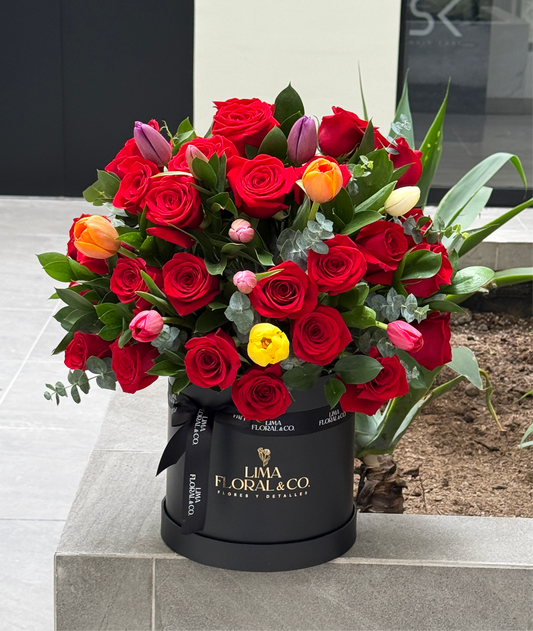 Box Gran Amor: Premium - Rosas y Tulipanes