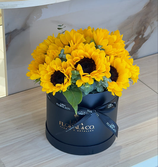 Box Sol: Girasoles