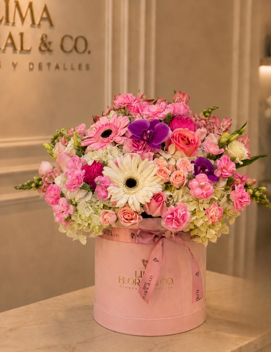 Box Micaela - Gerberas