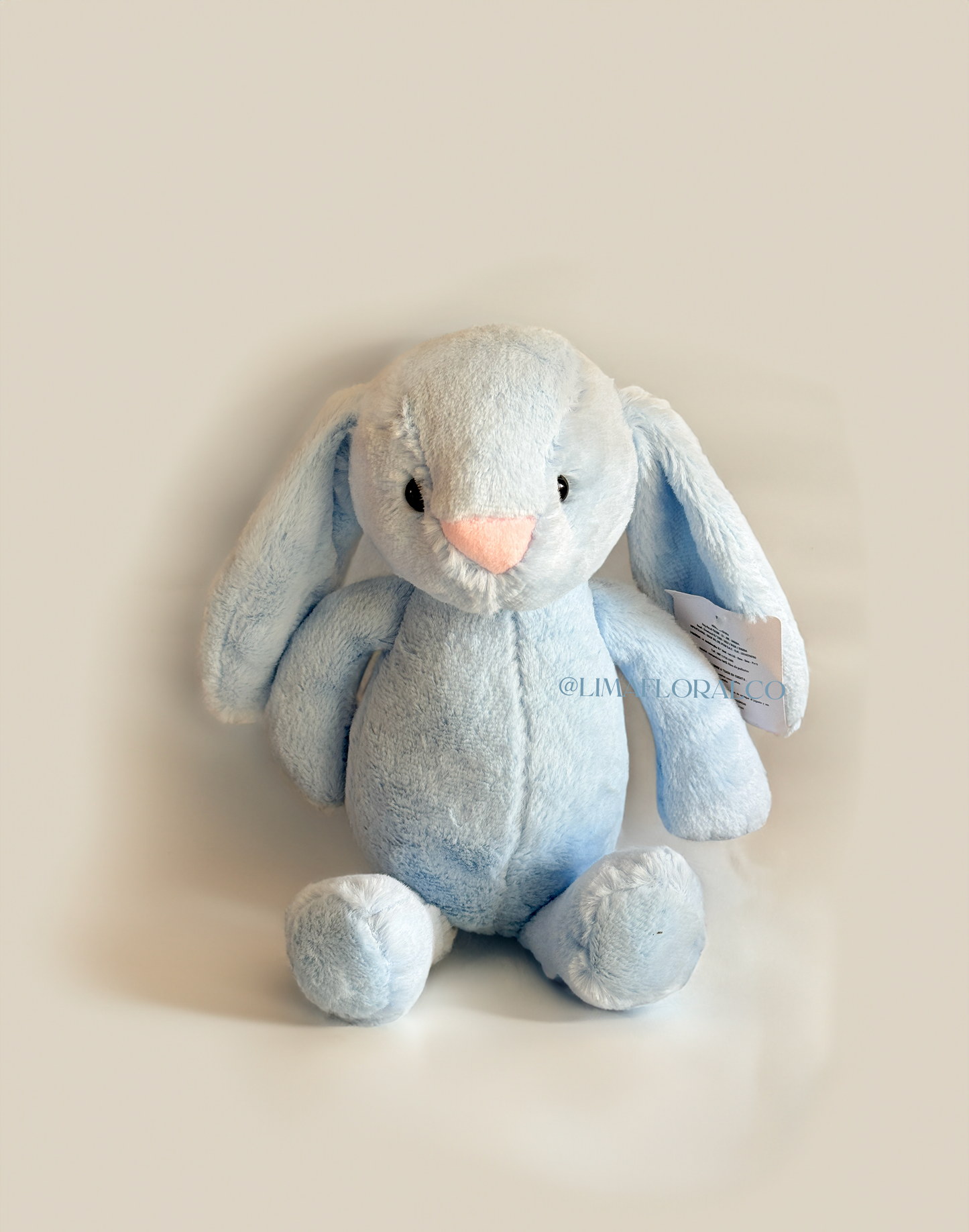 Conejitos de Peluche: Sweet Bunny