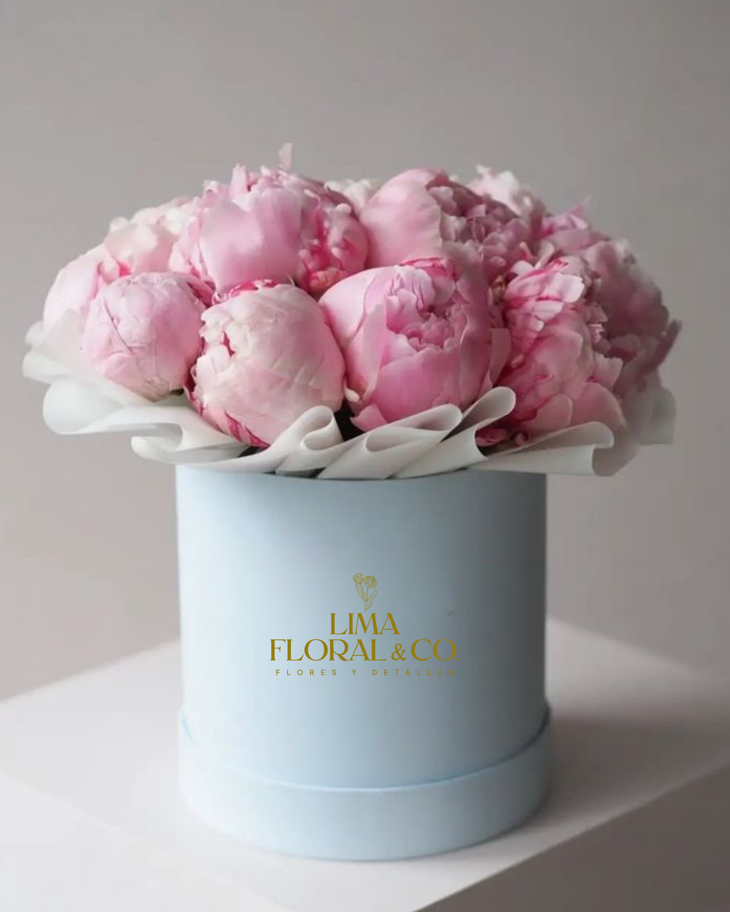 Box Peonias - 12 peonias