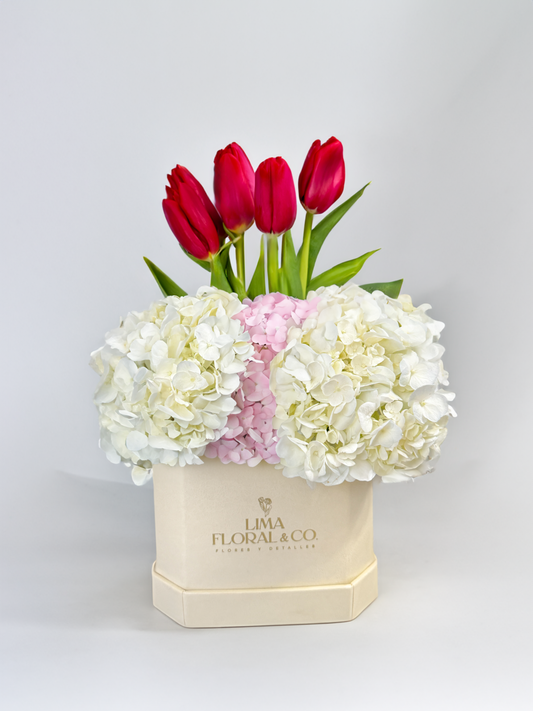 Box Chiara: 4 Tulipanes & Hortensias