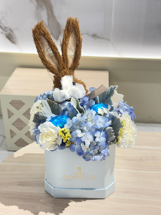 Box pascua azul