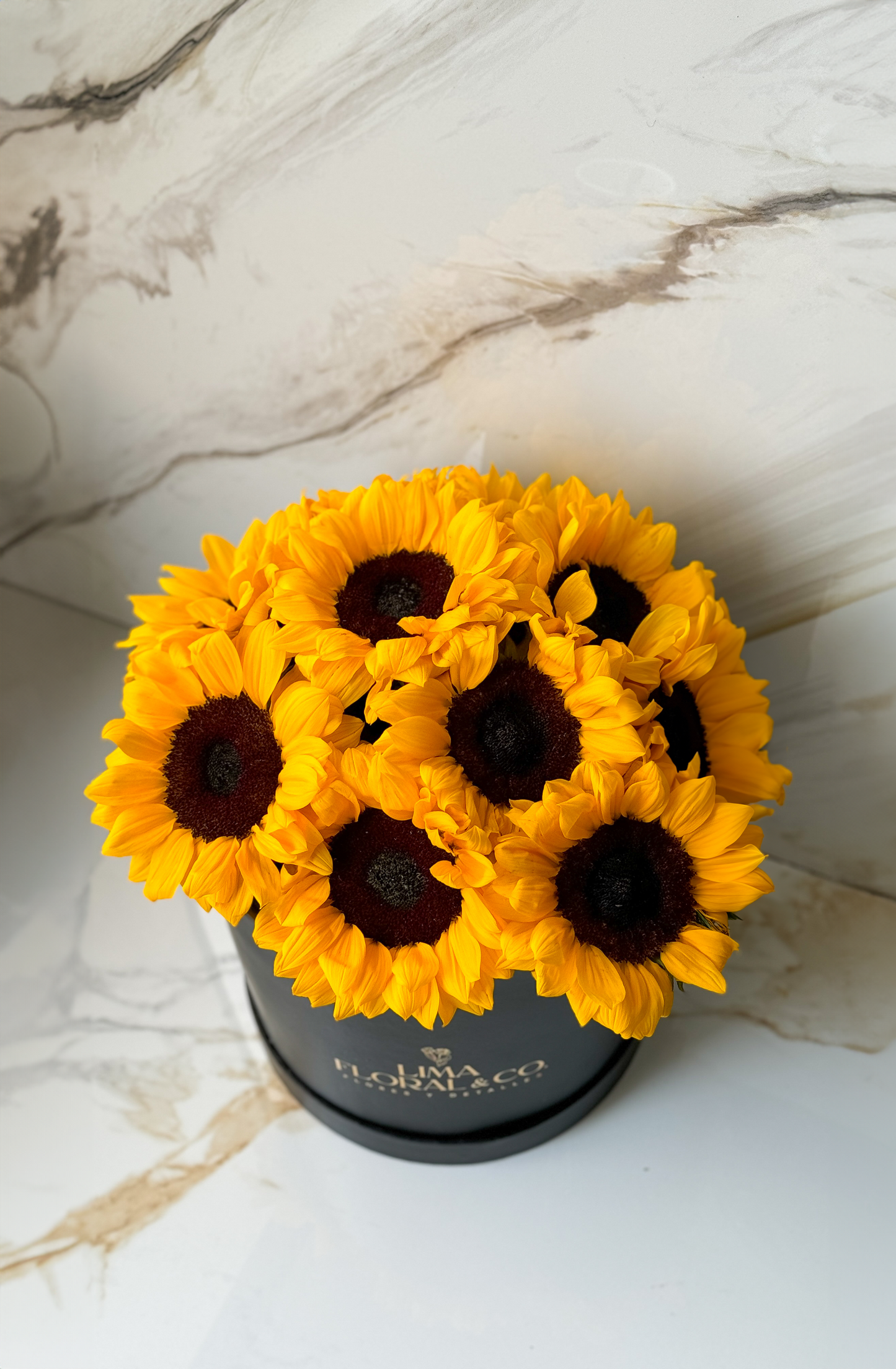 Box Sol: Girasoles