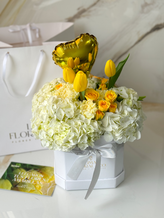 Box Tulip Glow Tulipanes multicolor mini rosas amarillas
