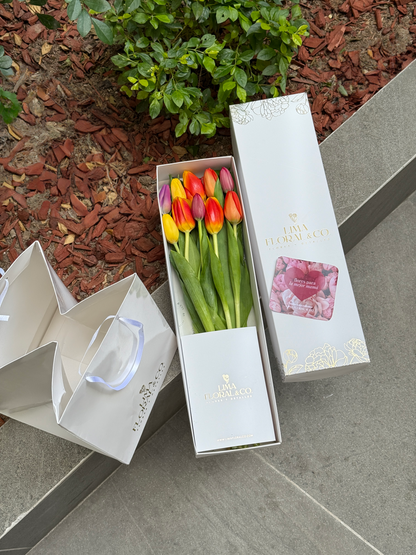 Caja 10 Tulipanes