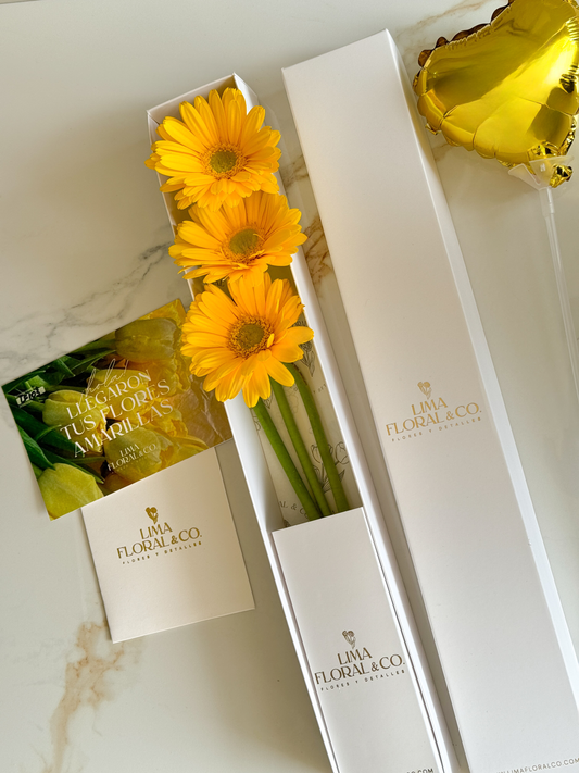 Caja 3 Gerberas - Flores Amarillas