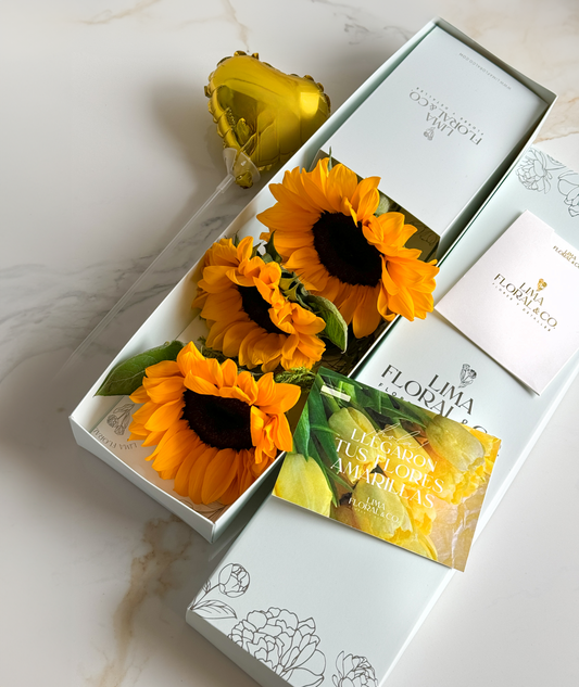 Caja 3 Girasoles - Flores Amarillas