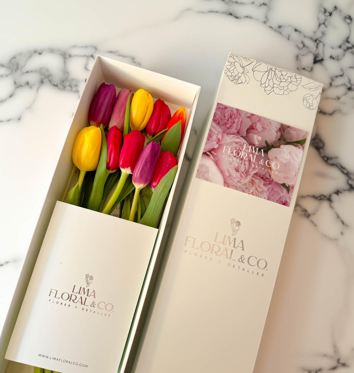 Caja 10 Tulipanes