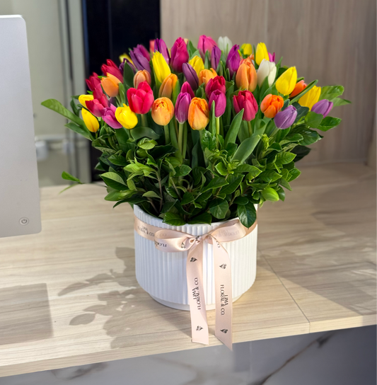 50 tulipanes en base de cerámica