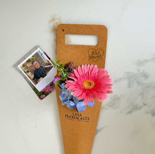 Gerbera - Cono Lima Floral.