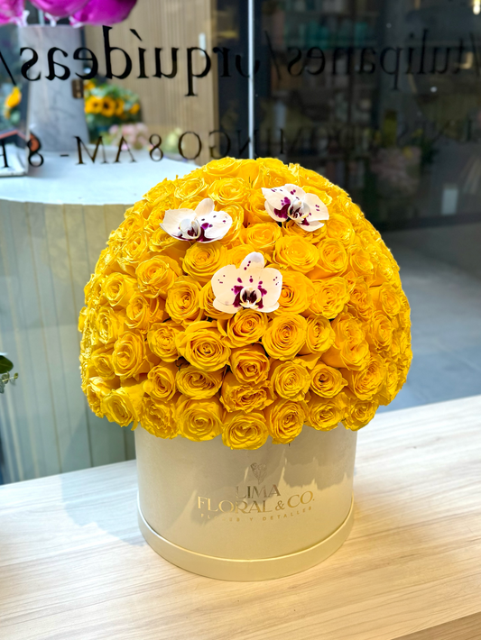 The Luxury Box: Amarillo - Rosas Amarillas - Extra Grande