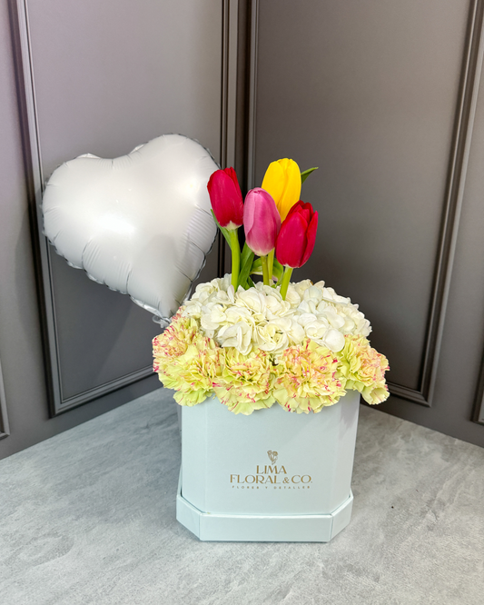 Box de 4 Tulipanes