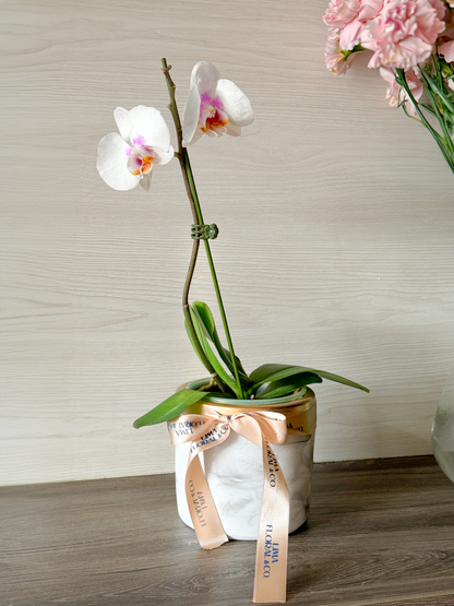 Orquídea Mini en Cerámica