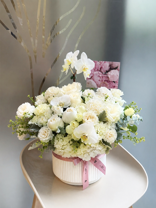 Orchid Blooms - White Edition