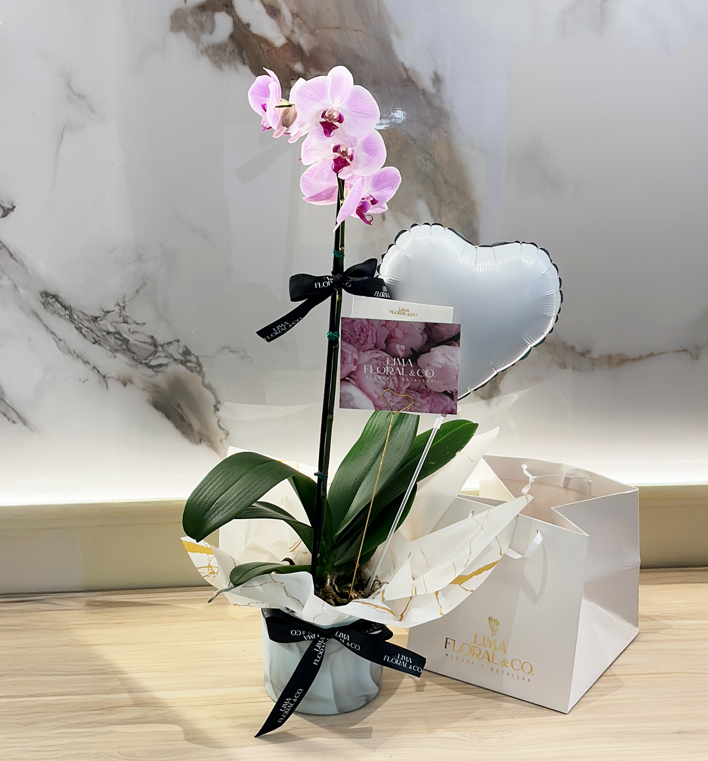 Orquídea Phalaenopsis Lila en Cerámica