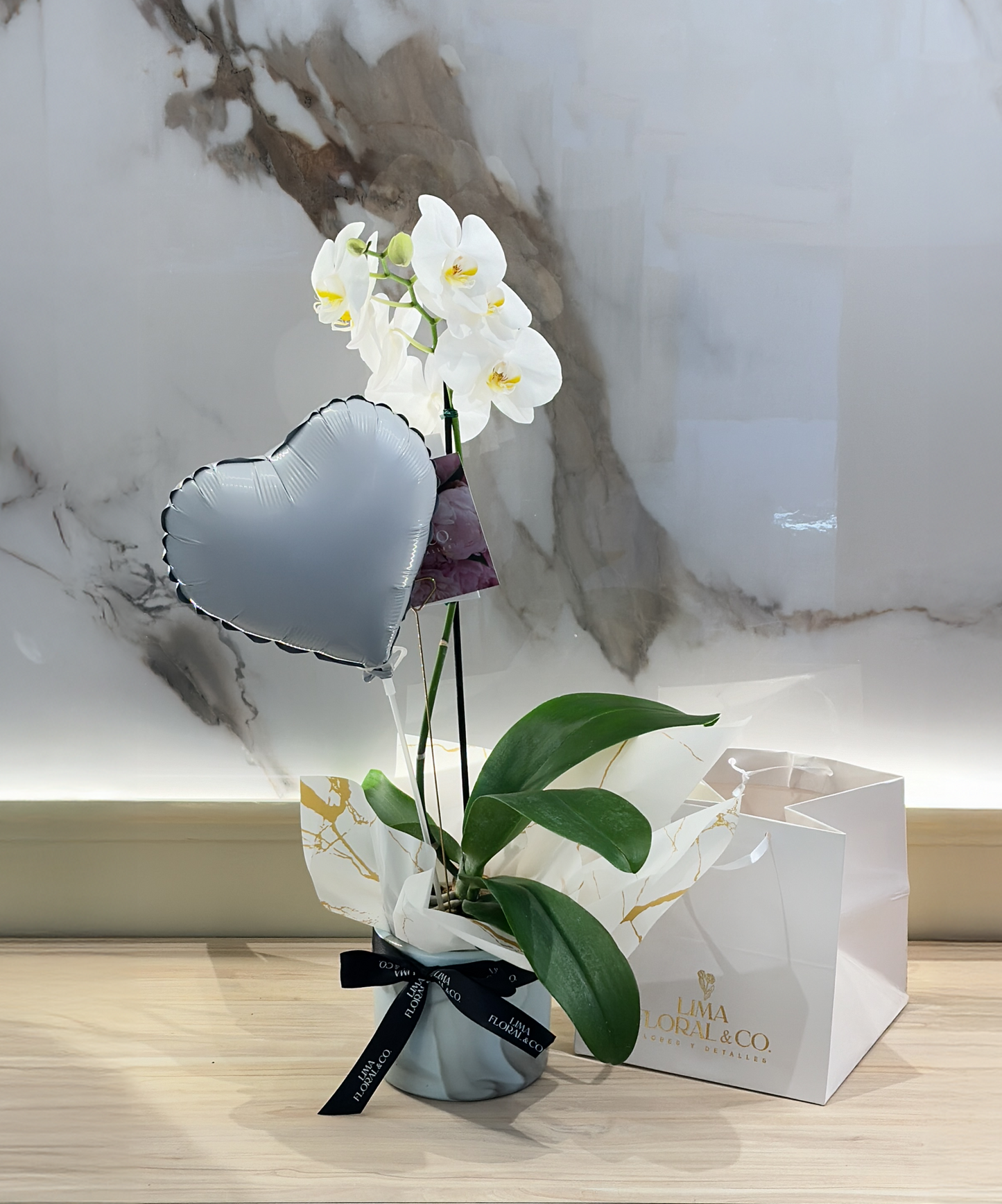 Orquídea Phalaenopsis Blanca en Cerámica